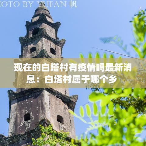 物以稀为贵 第2页