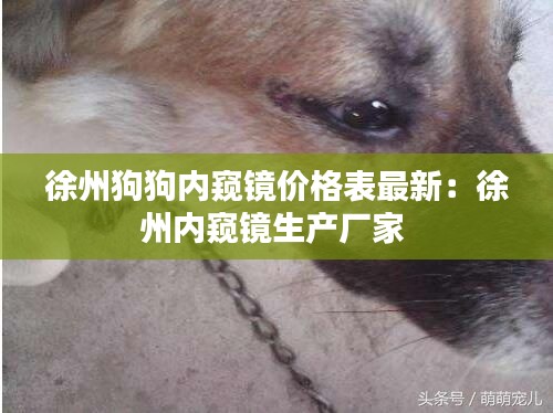 灰飞烟灭 第2页
