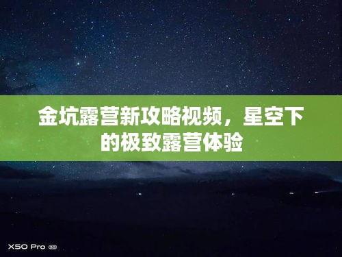 虫蚀鸟步 第2页