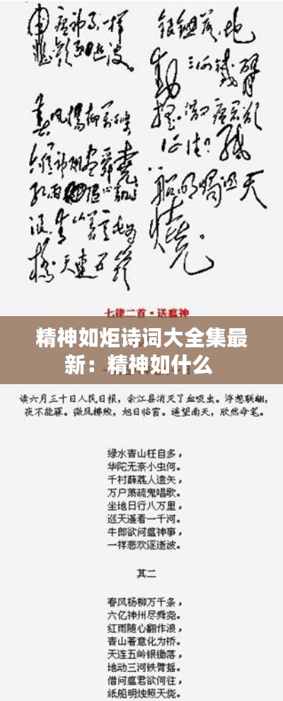 花容月貌 第2页