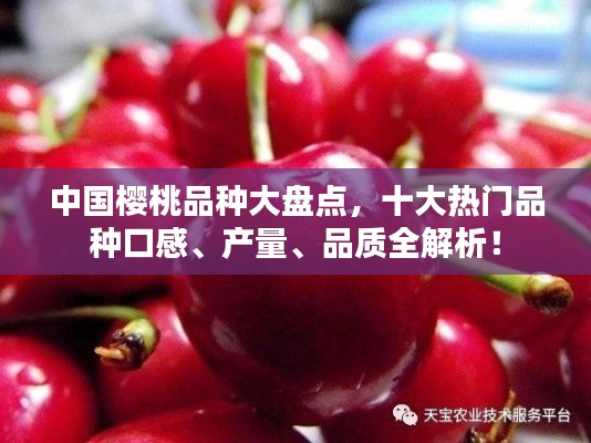 飞禽走兽 第2页