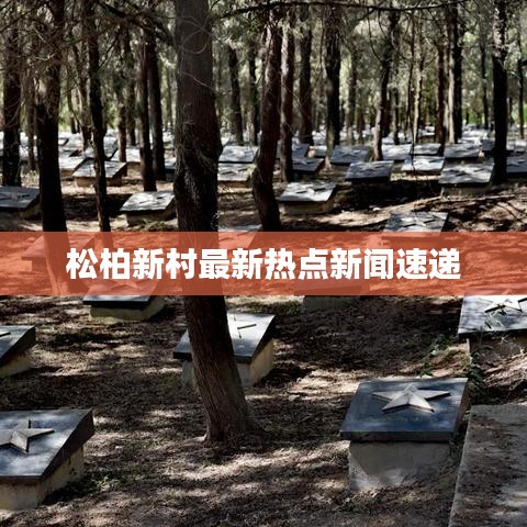 松柏新村最新热点新闻速递