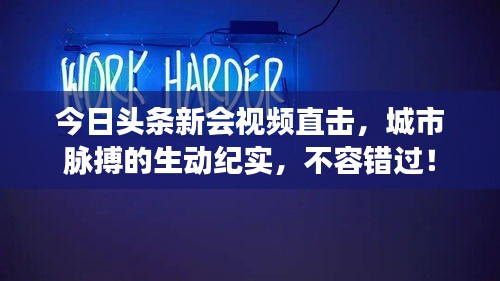 今日头条新会视频直击，城市脉搏的生动纪实，不容错过！