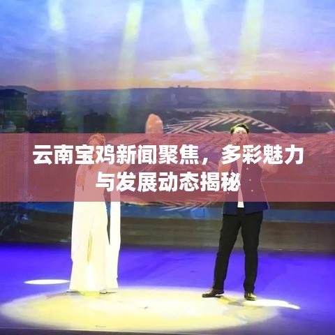 云南宝鸡新闻聚焦，多彩魅力与发展动态揭秘