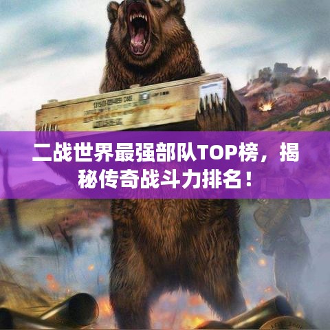 二战世界最强部队TOP榜，揭秘传奇战斗力排名！