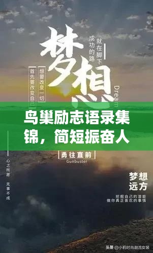 十年磨剑 第2页