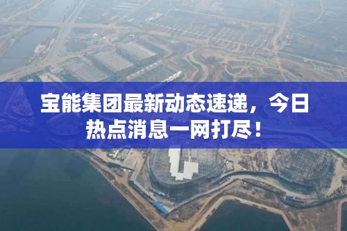 宝能集团最新动态速递，今日热点消息一网打尽！