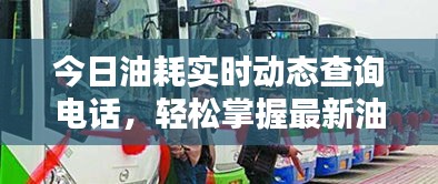 2025年2月 第328页