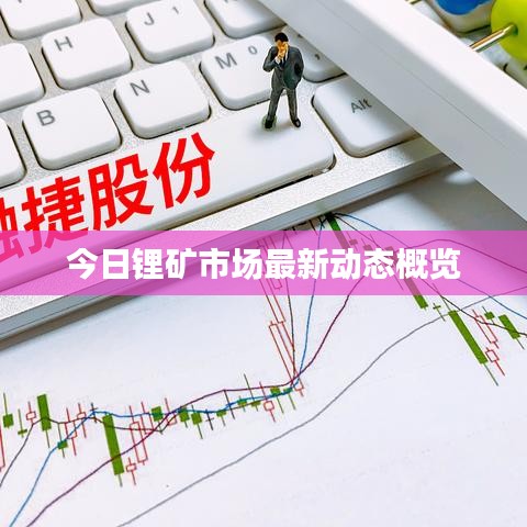 今日锂矿市场最新动态概览