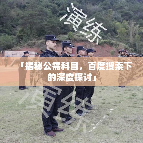 「揭秘公需科目，百度搜索下的深度探讨」
