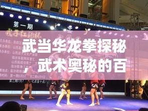 武当华龙拳探秘，武术奥秘的百度之旅之旅