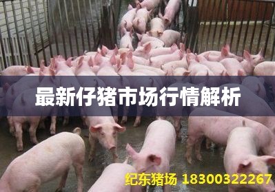 为民请命 第2页