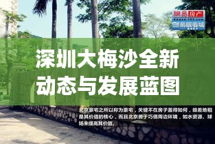 深圳大梅沙全新动态与发展蓝图揭秘，今日最新消息速递！
