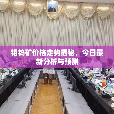 钼钨矿价格走势揭秘，今日最新分析与预测