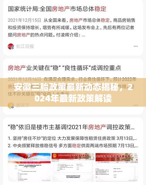 安徽三胎政策最新动态揭秘，2024年最新政策解读