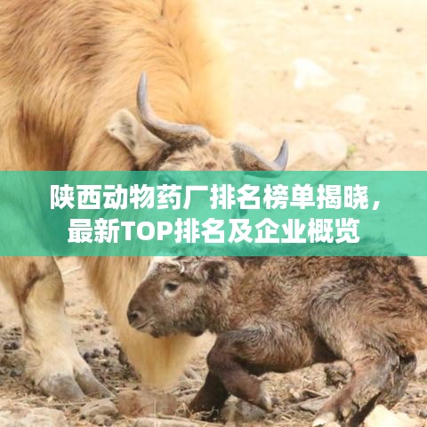 美轮美奂 第2页