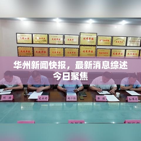 华州新闻快报，最新消息综述今日聚焦