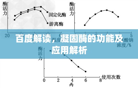 百度解读，凝固酶的功能及应用解析