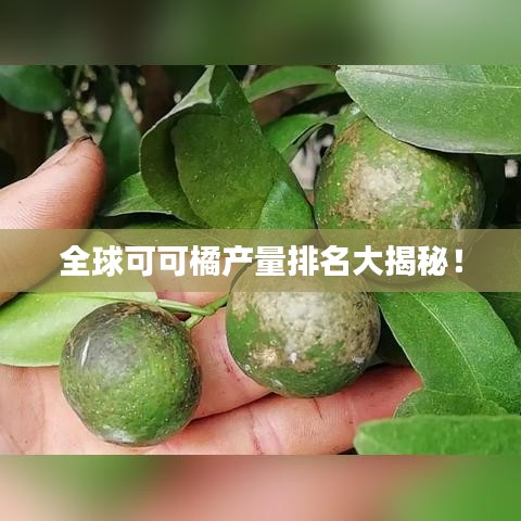 飞珠溅玉 第2页