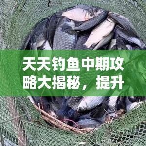 天天钓鱼中期攻略大揭秘，提升技巧与策略最新指南