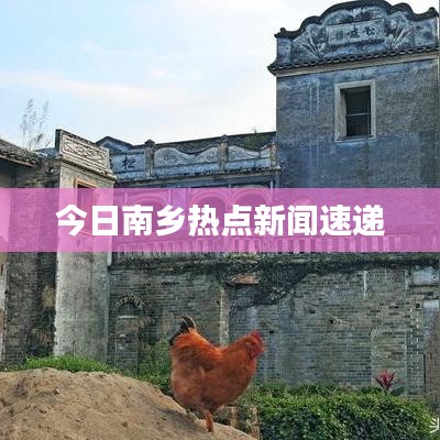 今日南乡热点新闻速递
