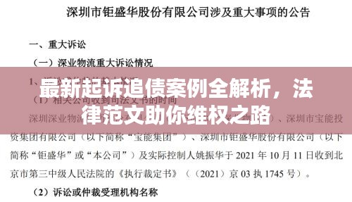 最新起诉追债案例全解析，法律范文助你维权之路