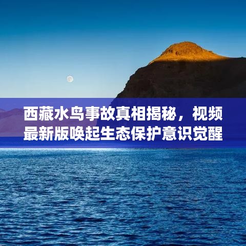 西藏水鸟事故真相揭秘，视频最新版唤起生态保护意识觉醒