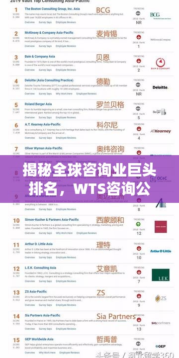 揭秘全球咨询业巨头排名，WTS咨询公司位列前茅