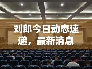 刘郎今日动态速递，最新消息一览