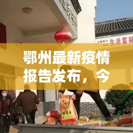 鄂州最新疫情报告发布，今日最新信息速览