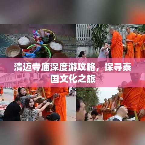 打张鸡儿 第2页