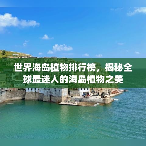 世界海岛植物排行榜，揭秘全球最迷人的海岛植物之美