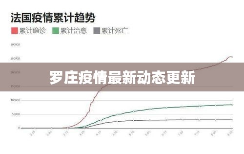 罗庄疫情最新动态更新