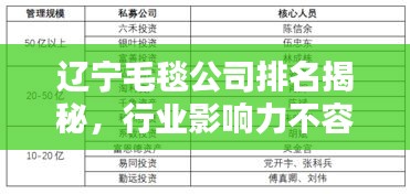 辽宁毛毯公司排名揭秘，行业影响力不容小觑