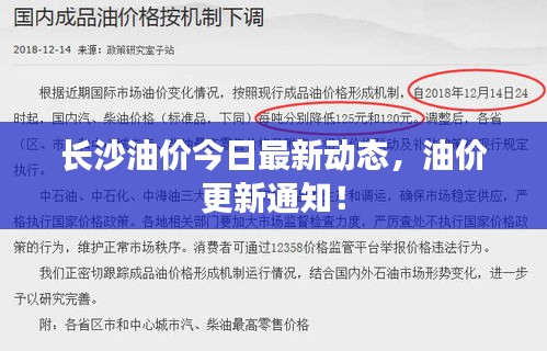 长沙油价今日最新动态，油价更新通知！