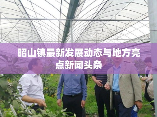 2025年2月 第5页