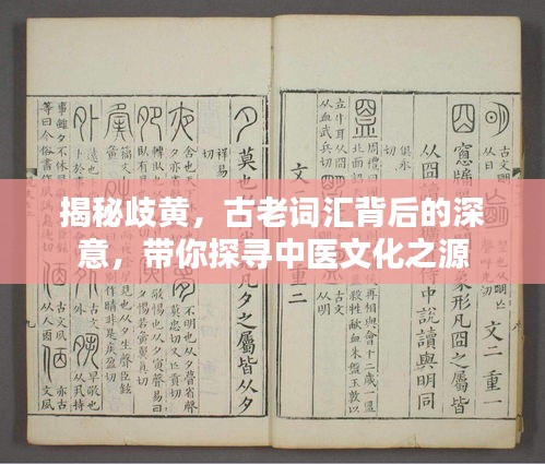 2025年3月1日
