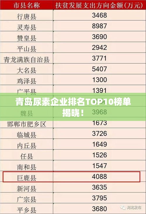 2025年3月3日 第4页