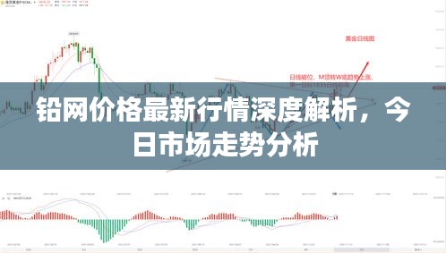 铅网价格最新行情深度解析，今日市场走势分析