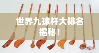 世界九球杆大排名揭秘！