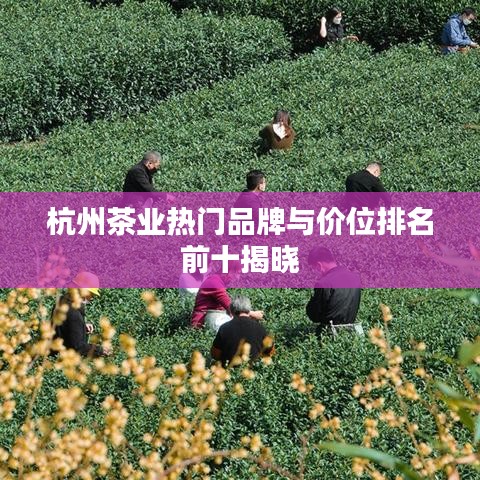 杭州茶业热门品牌与价位排名前十揭晓