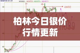 柏林今日银价行情更新
