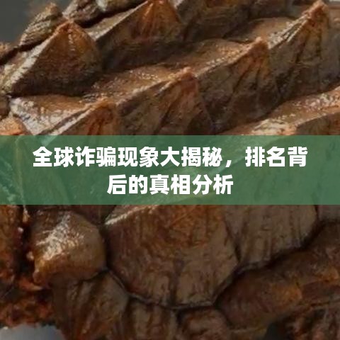 全球诈骗现象大揭秘，排名背后的真相分析