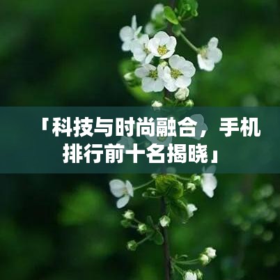 粗制滥造
