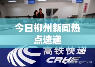 今日柳州新闻热点速递