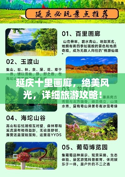 2025年3月 第15页