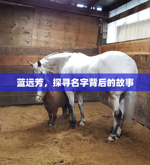 蓝远芳，探寻名字背后的故事
