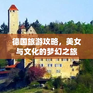 2025年3月 第8页