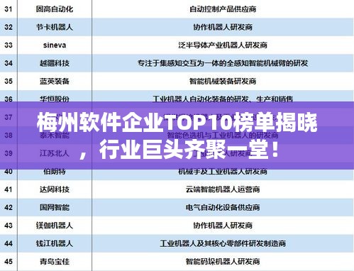 梅州软件企业TOP10榜单揭晓，行业巨头齐聚一堂！