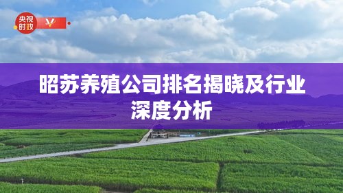 昭苏养殖公司排名揭晓及行业深度分析
